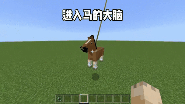 我的世界马匹怎么控制方向移动缩略图