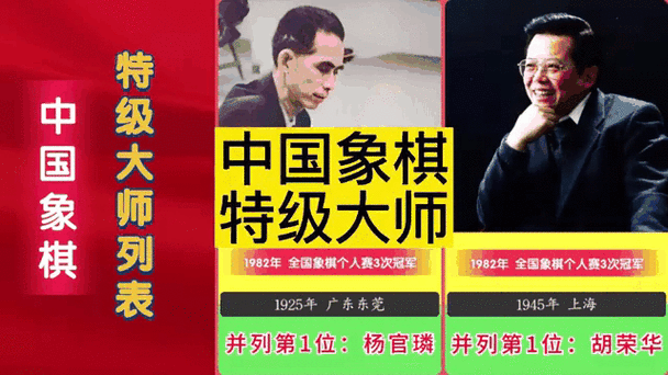 象棋大师和象棋巫师棋力图标
