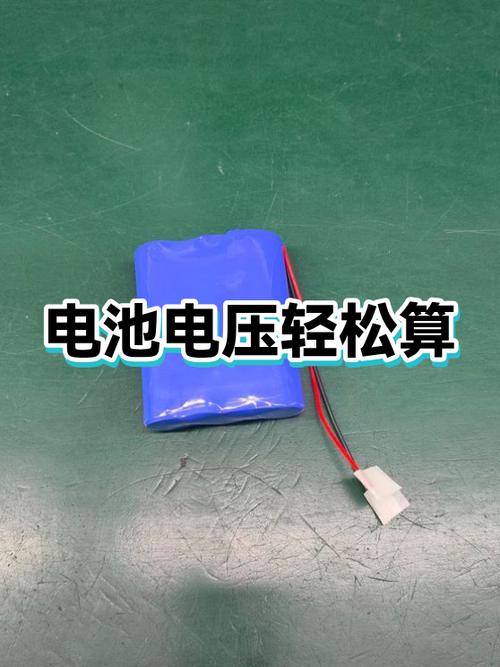 电动车电池的电压怎么算游戏截图
