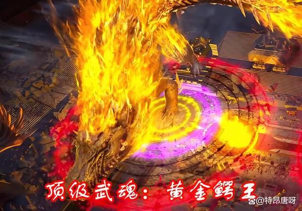 斗罗大陆1~100级划分缩略图