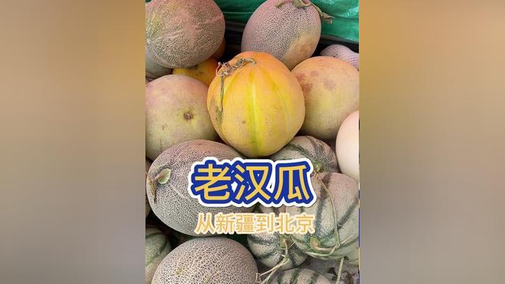 长得像南瓜的是什么瓜图标