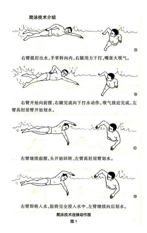 游泳的正确姿势视频教程图标