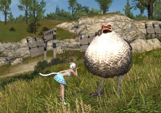ff14渡渡鸟在哪个地方缩略图