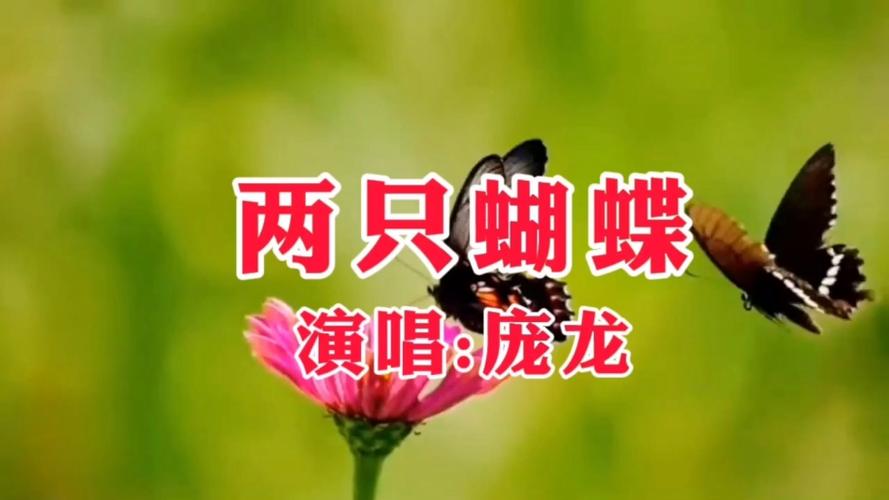 两只蝴蝶是哪一年火的图标