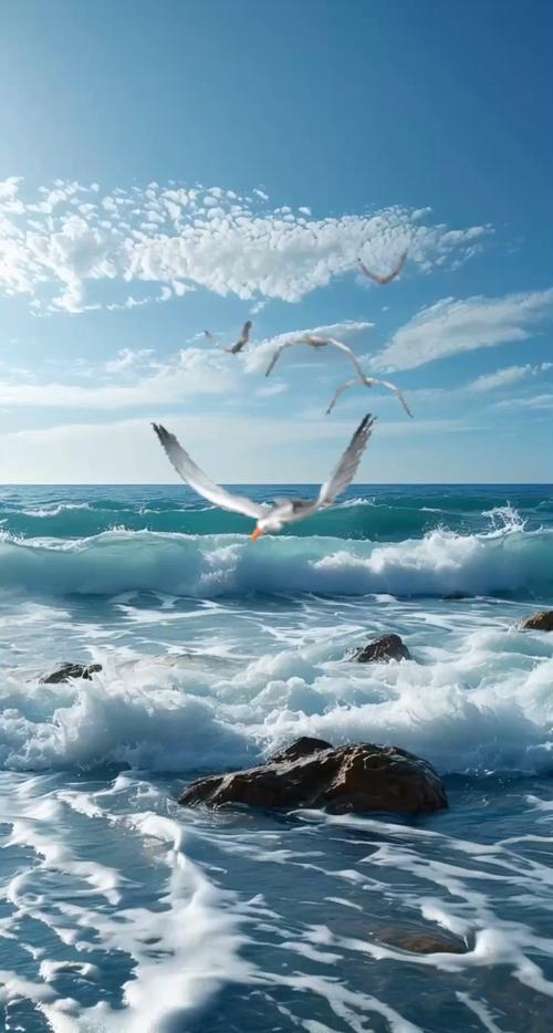 哎呀短视频改名叫什么图标