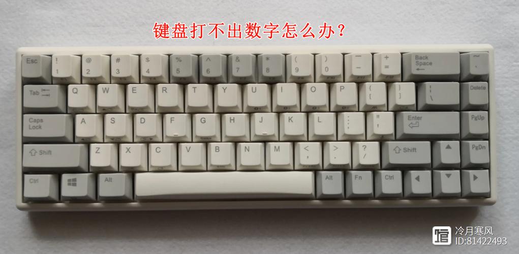 键盘上面的数字键打不出来缩略图