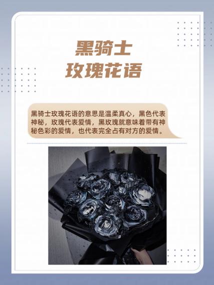 黑玫瑰代表什么意思缩略图
