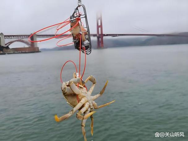 几月份钓螃蟹最佳时间缩略图