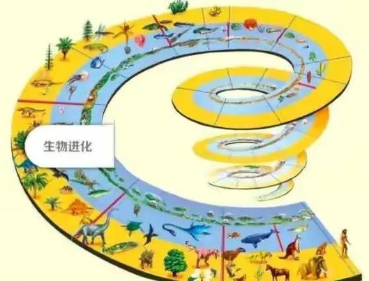 四十亿年细胞进化