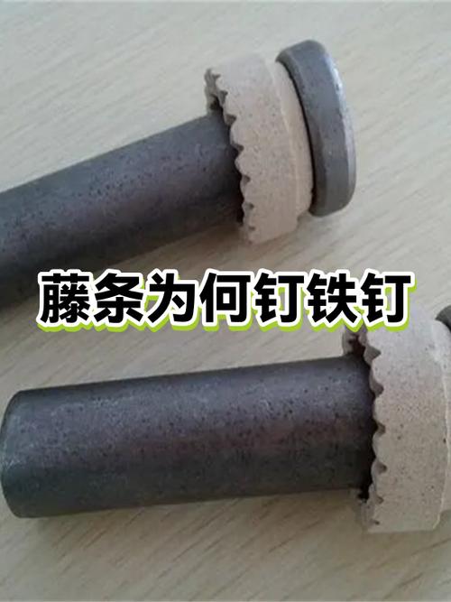 合同钉子钉在哪里缩略图