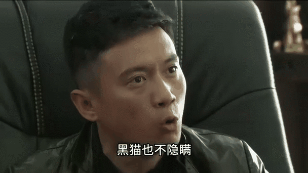 重生特种兵之我是黑猫缩略图