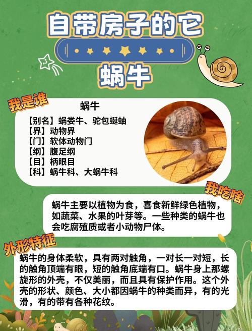蜗牛的10个特征缩略图