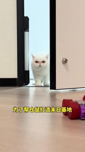 仓鼠的末日基地一点零图标
