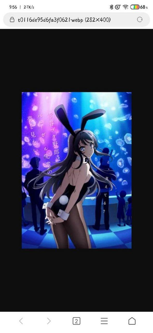 兔女郎的园子学姐的身世背景介绍缩略图