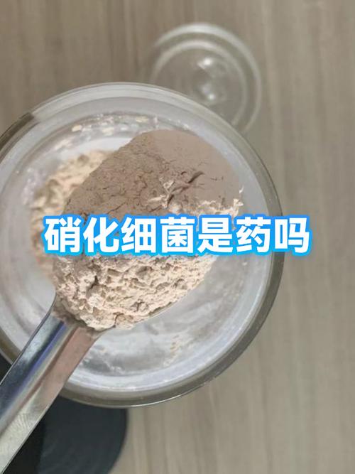 硝化细菌和益生菌可以一起用吗图标
