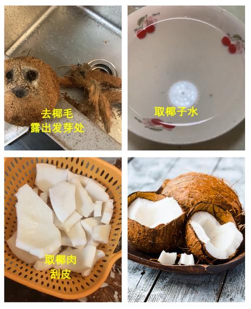 椰子怎么开壳最简单的方法游戏截图