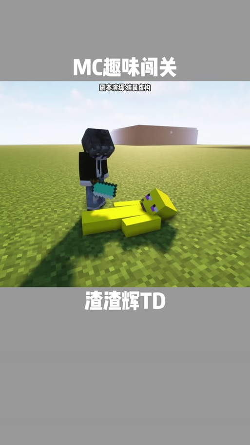 渣渣辉我的世界图标