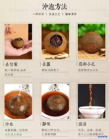 小青柑的作用与功效游戏截图