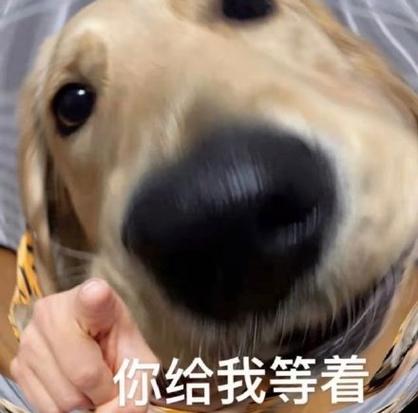 我等着的表情包缩略图