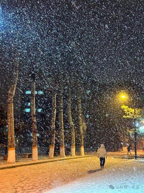 雪花飘雪真实视频合集下载缩略图