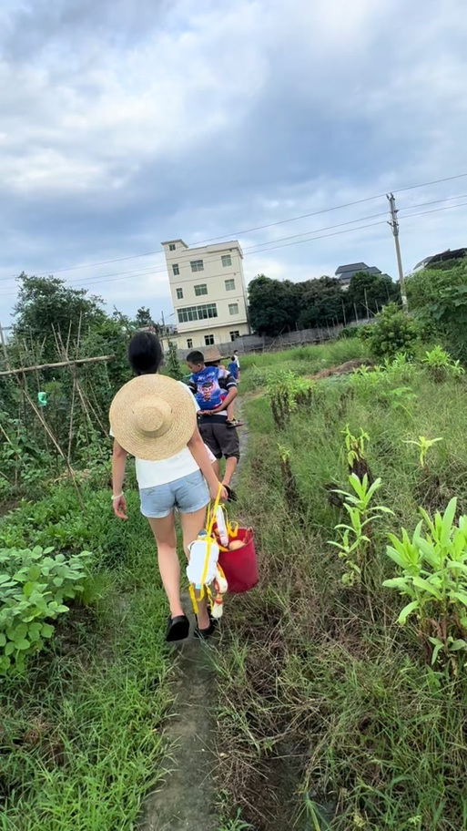 暑假回农村老家的快乐生活缩略图