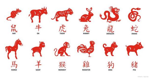 一无所有指的是什么生肖缩略图
