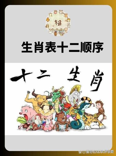 视代表哪个准确的生肖图标