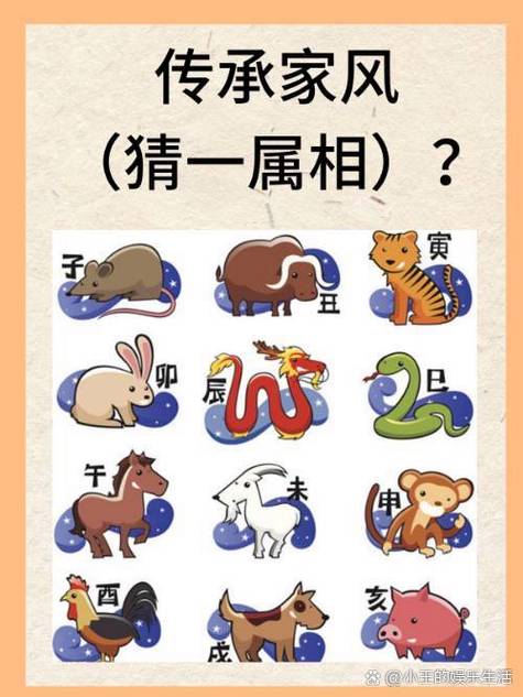 墙字打一准确生肖图标