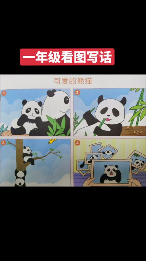二年级熊猫写话100字缩略图
