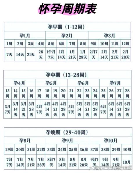 怀孕几周怎么计算图标