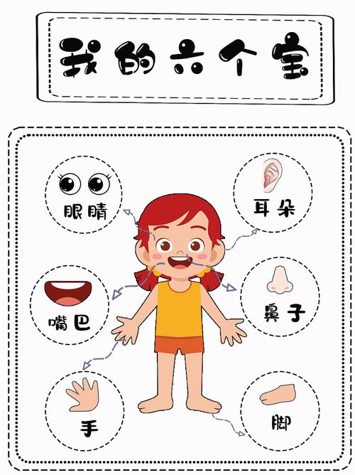 幼儿我的身体卡通图片图标