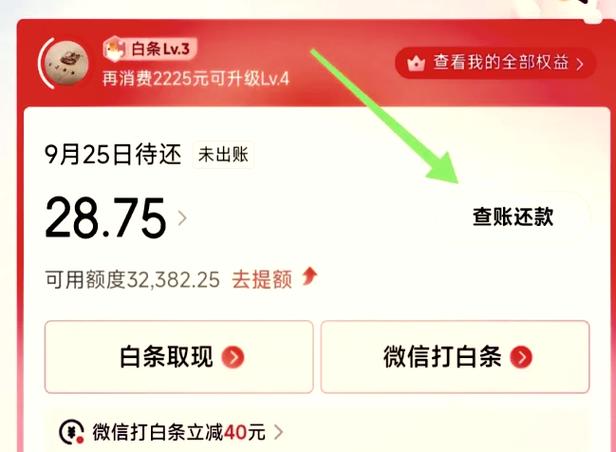 京东白条还钱失败怎么办图标