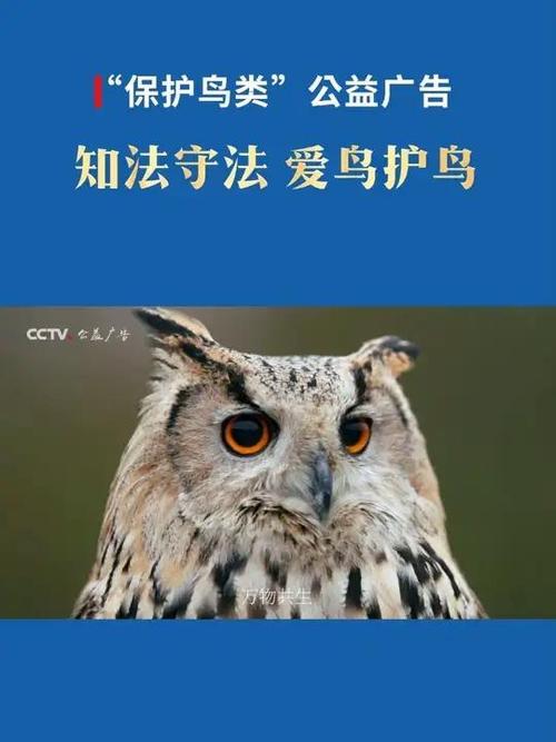 公益广告有哪些主题图标