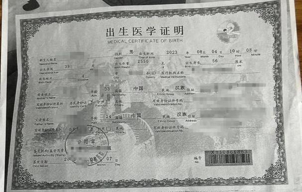 伪造出生证明照片犯法吗缩略图