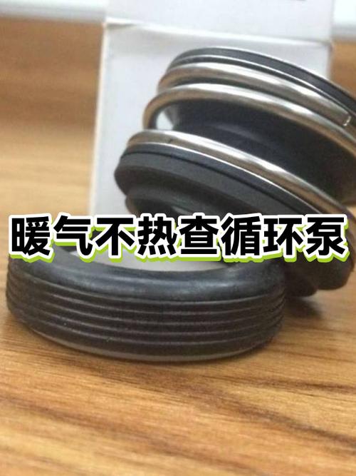 家用暖气循环泵,不启动时,暖气内的水游戏截图