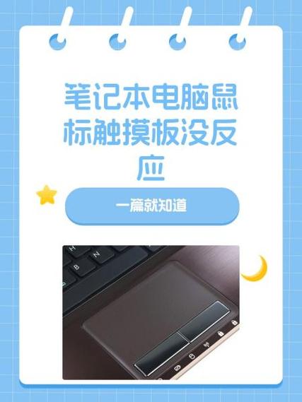 笔记本电脑鼠标触摸板没反应