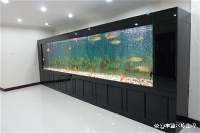 鱼缸换底色用瓷砖还是亚克力游戏截图