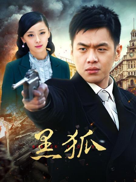 黑狐1-40集免费播放视频在线观看下载缩略图