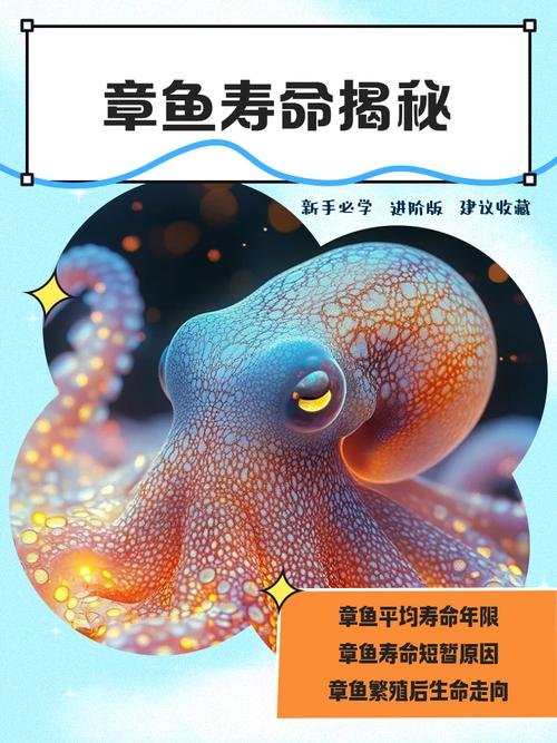 章鱼养久了会认主人吗图标