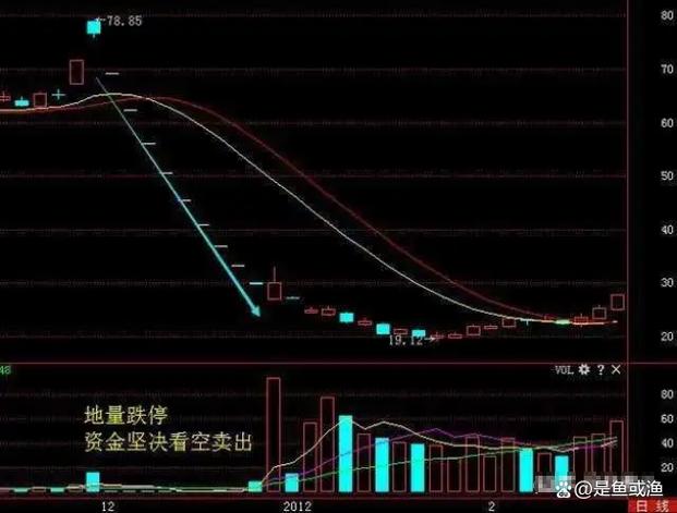 怎么看股票成交量游戏截图