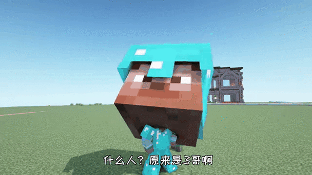 玩MC的人脑子正常吗缩略图