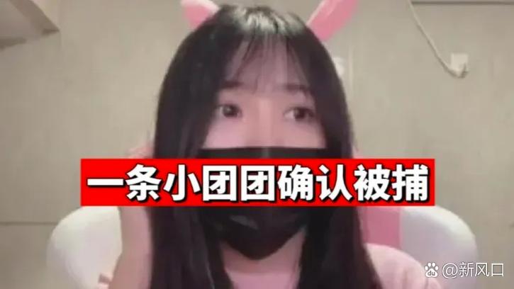 小团团语音导航搞笑版免费下载缩略图