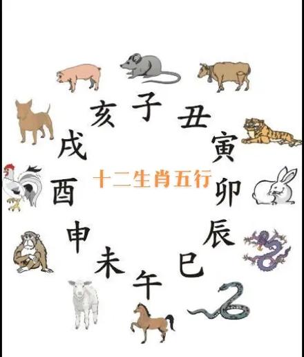 一无所有三大生肖缩略图