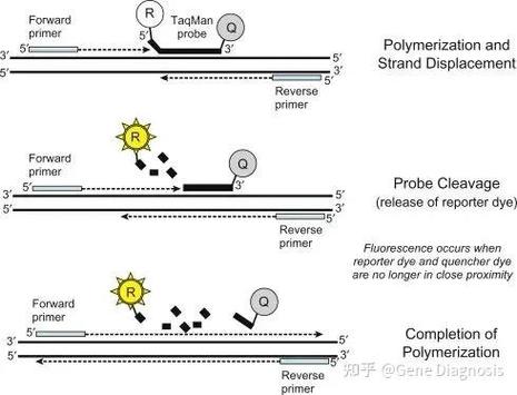 pore primer怎么使用图标