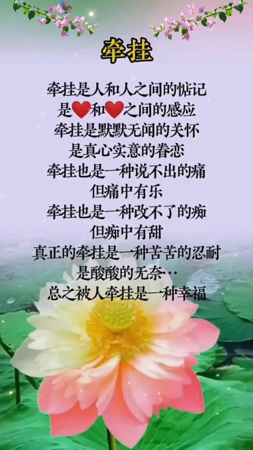 妈妈住院女儿发朋友圈缩略图