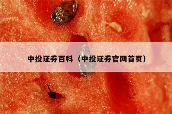 中投证券手机交易版下载官网