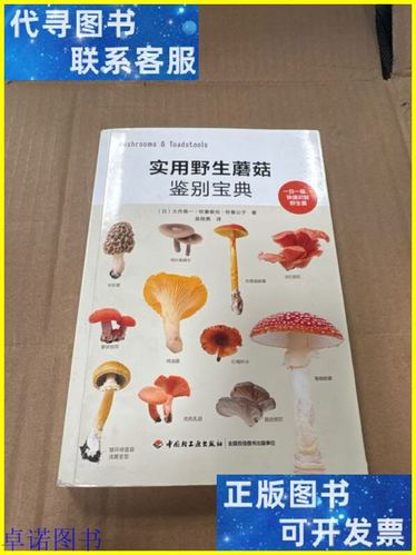 野生蘑菇种类大全图片