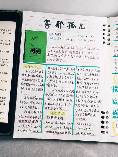 雾都孤儿概括200字缩略图