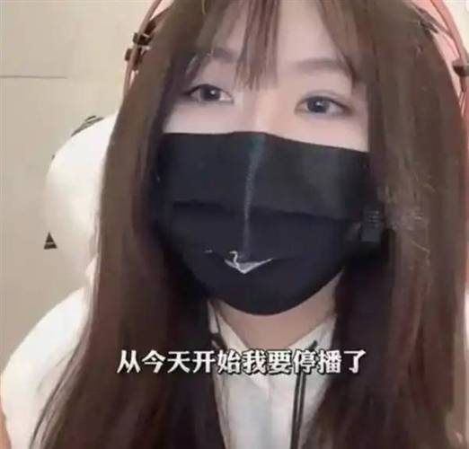 小团团语音导航的优点和缺点缩略图