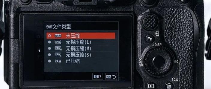 RAW视频格式